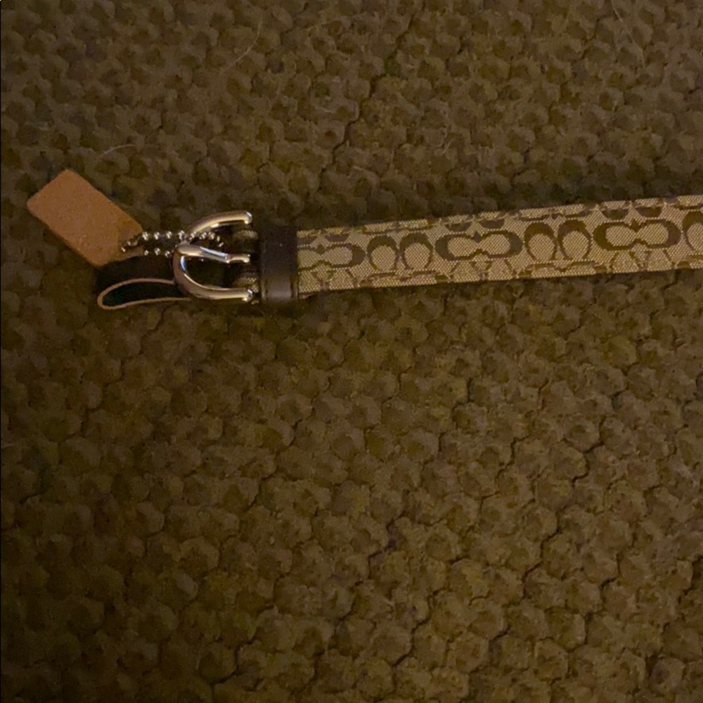 Belt